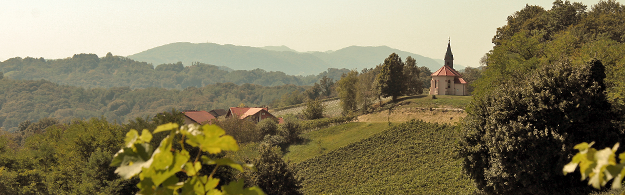 Vinarija Petrac, Hrsak breg